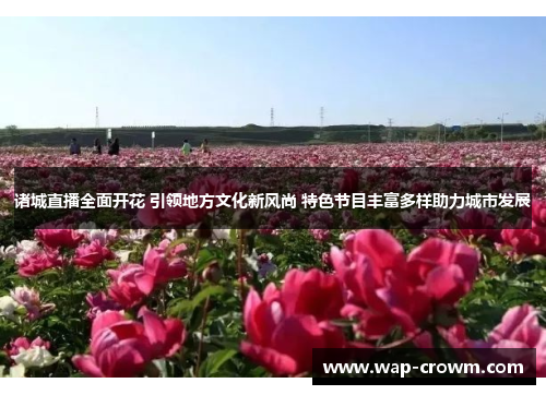 诸城直播全面开花 引领地方文化新风尚 特色节目丰富多样助力城市发展