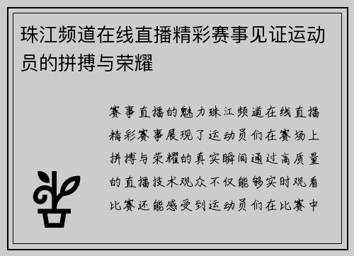 珠江频道在线直播精彩赛事见证运动员的拼搏与荣耀