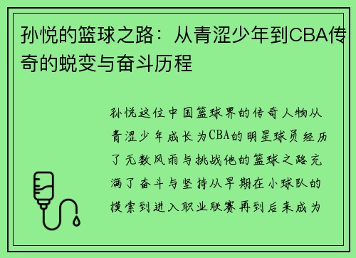 孙悦的篮球之路：从青涩少年到CBA传奇的蜕变与奋斗历程